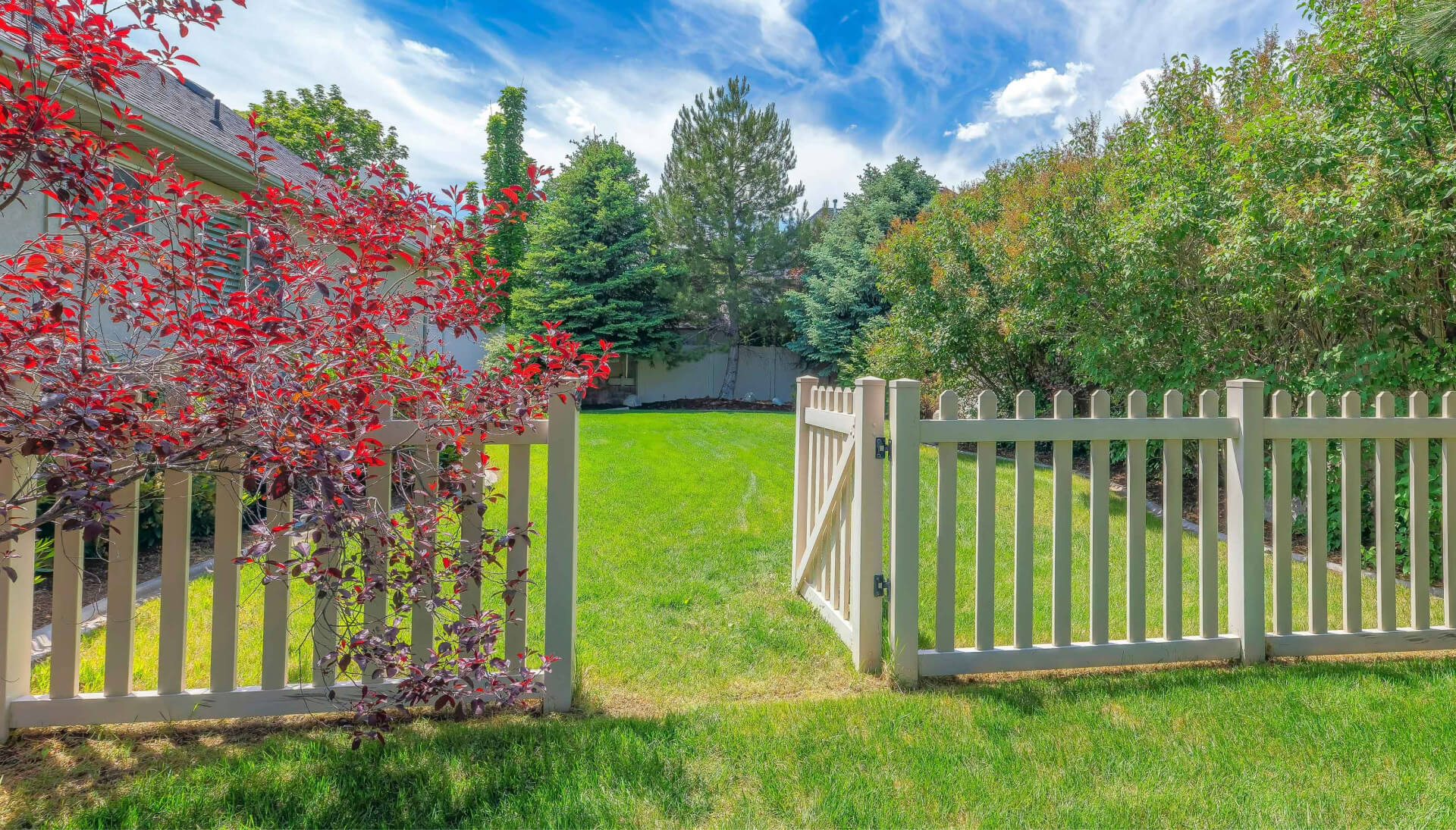 A functional fence gate providing access to a well-maintained backyard, surrounded by a wooden fence in Charlotte